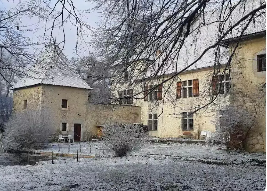 Chateau De Rivoiranche Saint-Paul-les-Monestier Holiday home